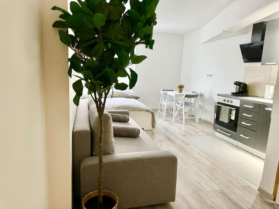 Stylish Schonbrunn Apartments - Free Underground Parking Wien Exteriör bild